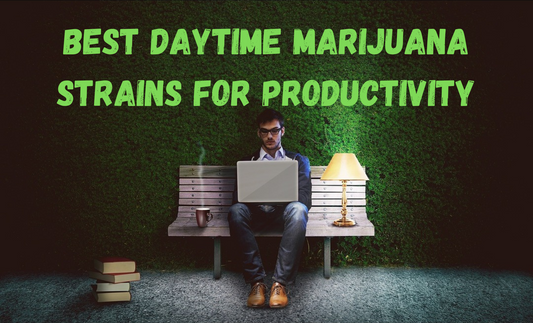 Best Daytime Marijuana Strains for Productivity: Boost Your Focus and Energy