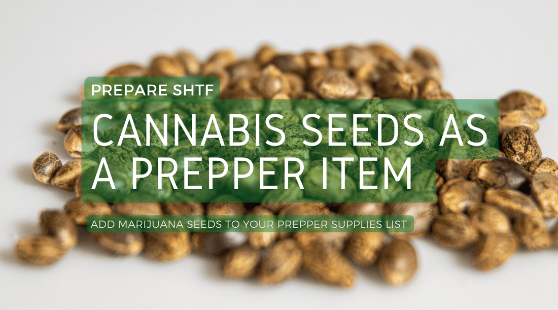 SHTF plans : Buying cannabis seeds as a prepper item ?
