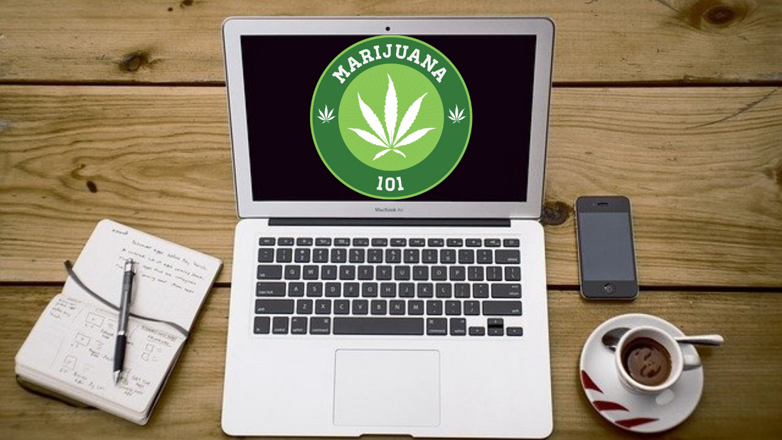 Cannabis 101 Online Courses Certification