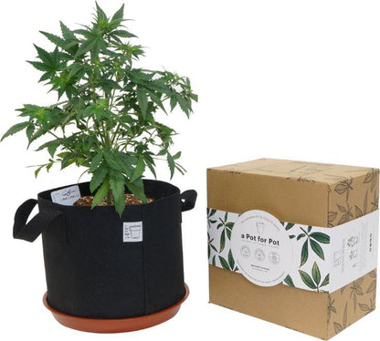 Medium Complete Pot Grow Kit (5 gallon) a Pot for Pot 