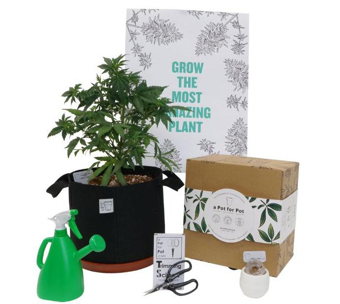 Medium Complete Pot Grow Kit (5 gallon)