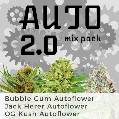 Bubblebum Autoflower
Jack Herer Autoflower
OG Kush Autoflower